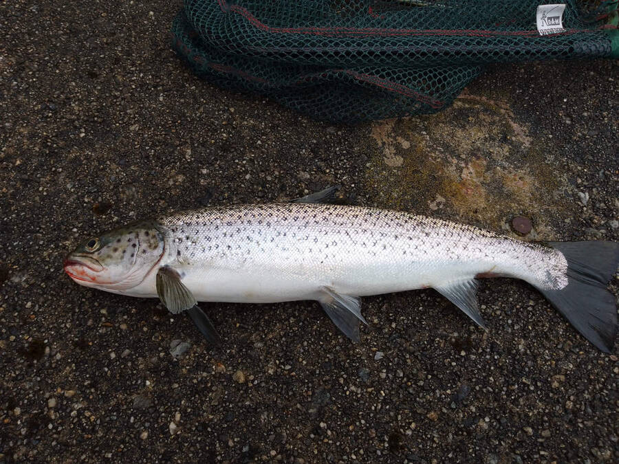 IMG 20240328 132452 781