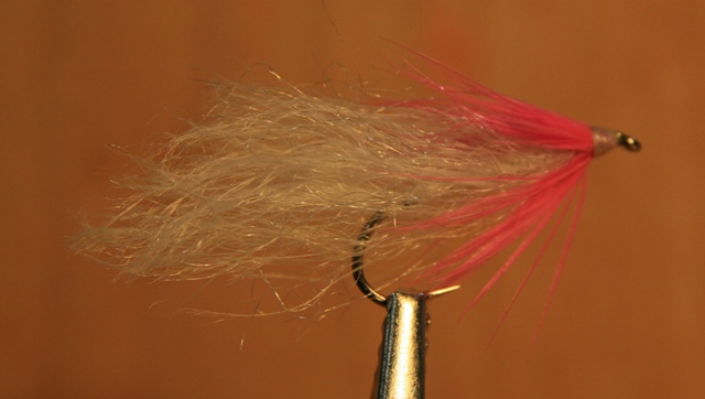 Sjøørretens favoritt-snadder akkurat nå