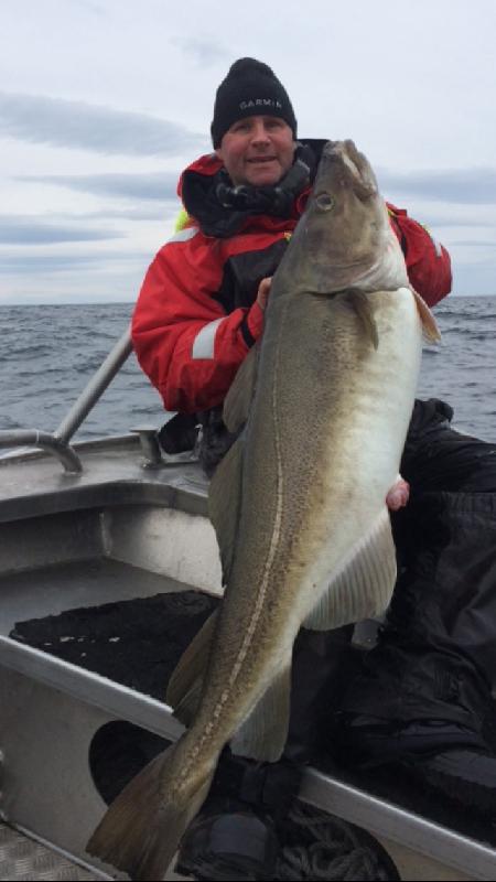 Eventyrlig turistfiske etter stortorsk utenfor Sørøya!