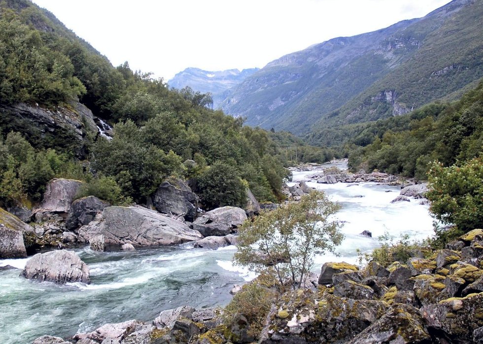 Laksefiske frem til 15.september i øvre Driva