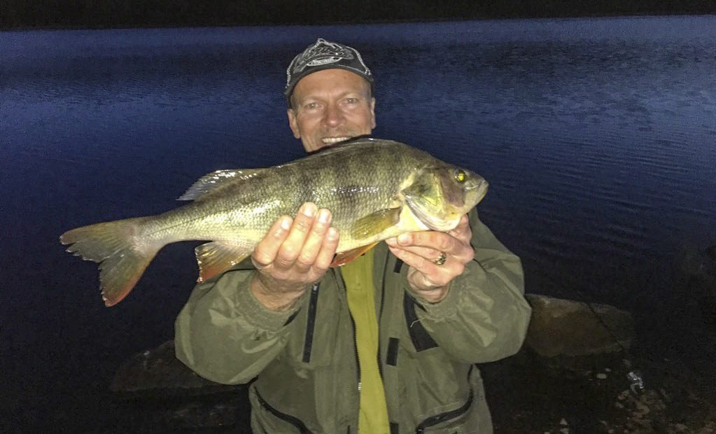 Storabboren stakk av med meitestanga