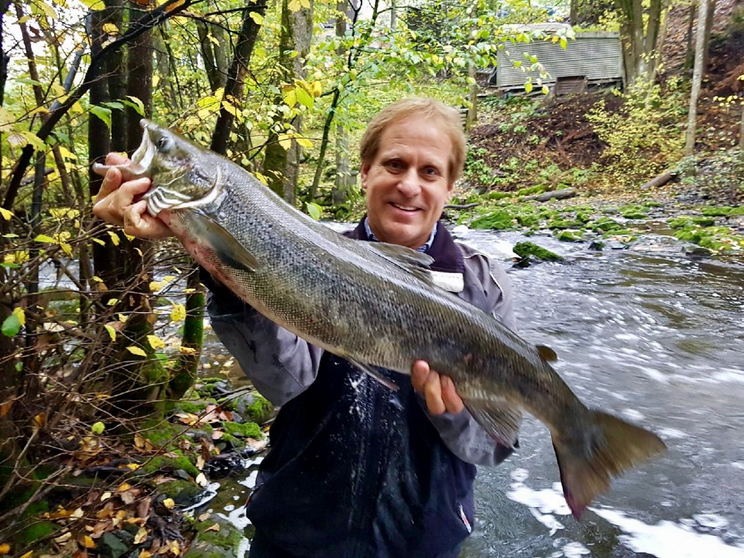 Det går storlaks i Blakstadelva i Asker!