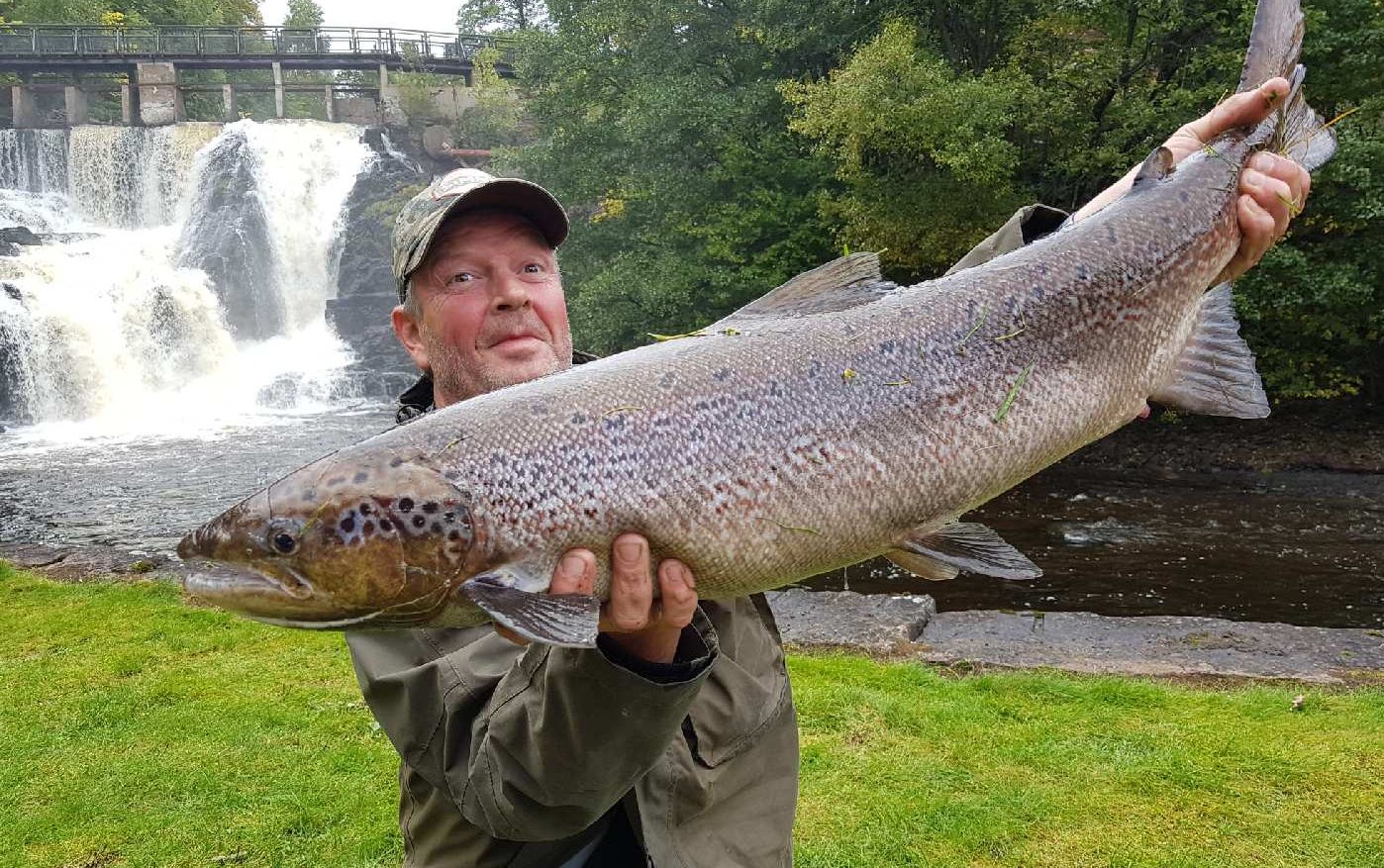 Kjempefiske i Lysakerelva