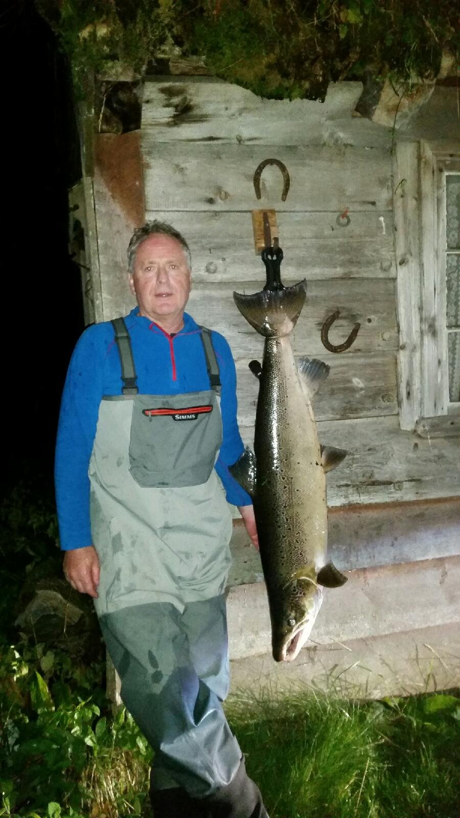 Duell med kjempelaks under Harefossen