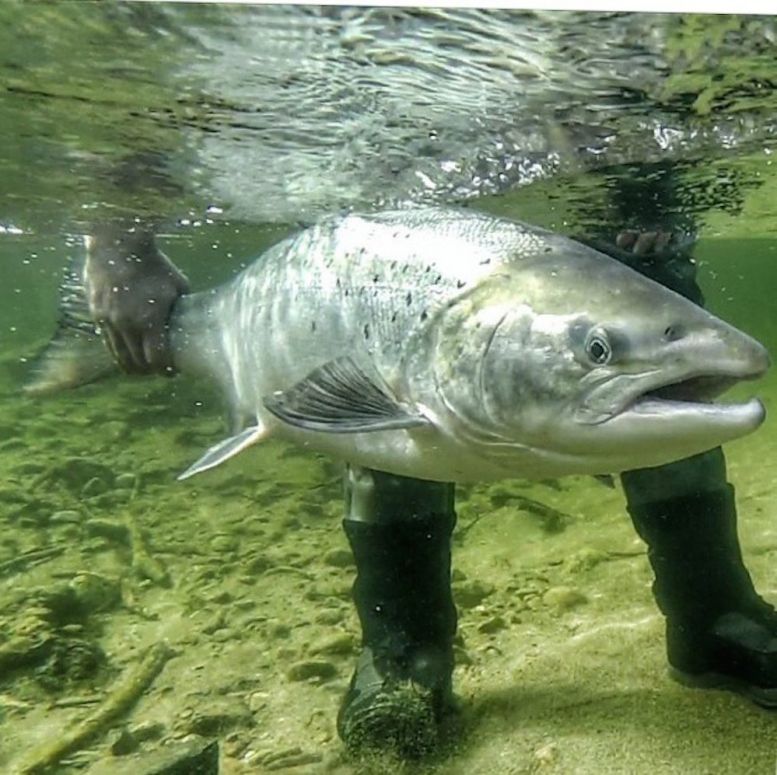 Full strid om fang og slipp på landsmøtet i Haugesund!