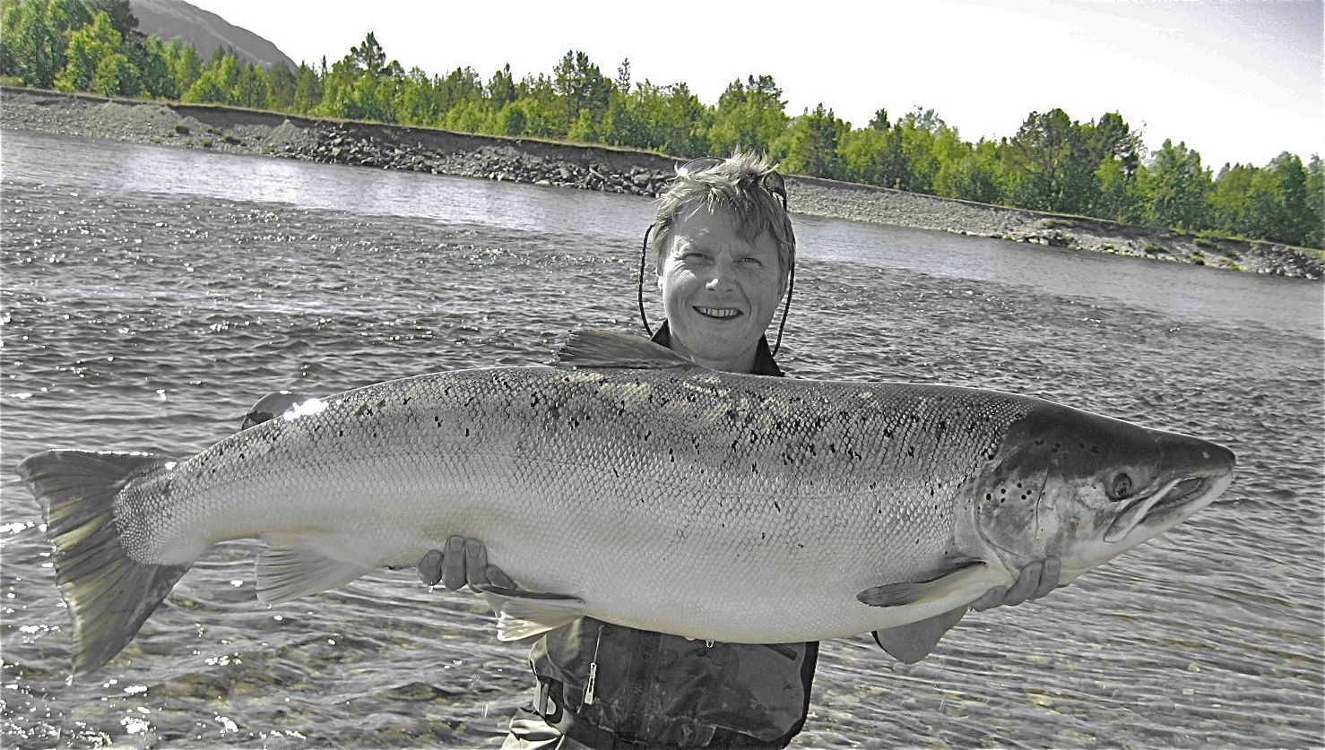 - Altaelva er spesiell, men Orkla er best på storlaks