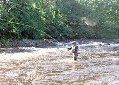 Aksjonistene berget villaksen fra gyroangrep!