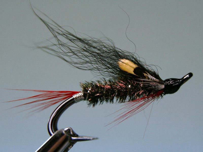 Fiskeguidens favorittflue for Bjerkreimselva