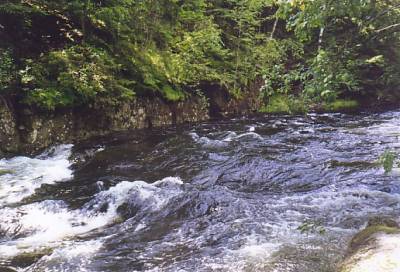 Tidenes beste lakseseong i Herrevassdraget?