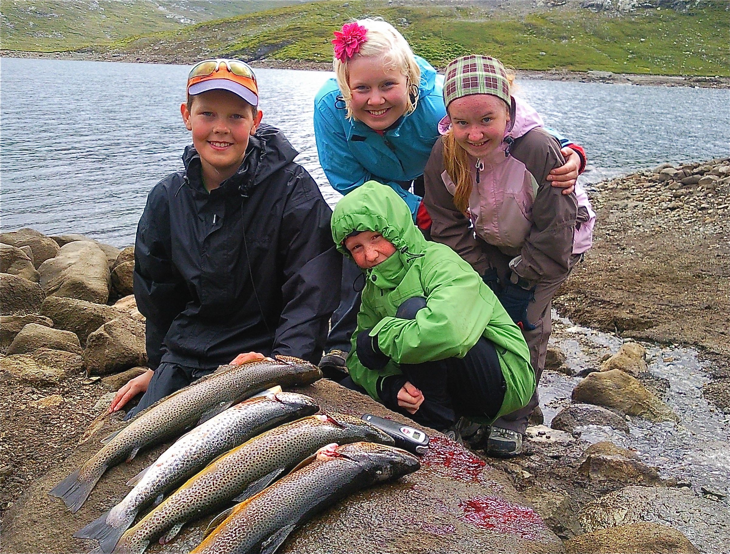 Kjempefiske av kilosørret i fisketomt vann i Valdres