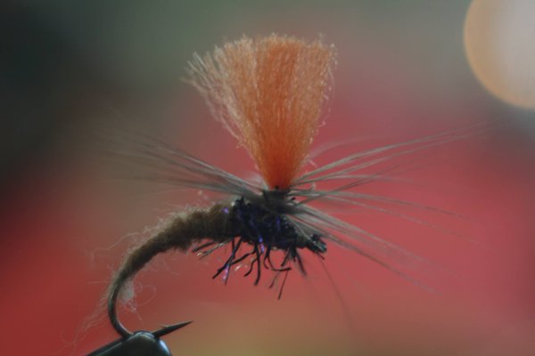 Gå ikke glipp av fluefiskedagene på Elverum i helgen!