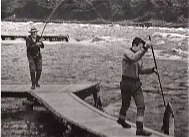 Årøyelva har den norske rekorden for laks tatt på flue