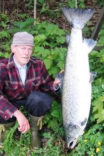 Laksefiske for alle i Drammenselva i kveld!