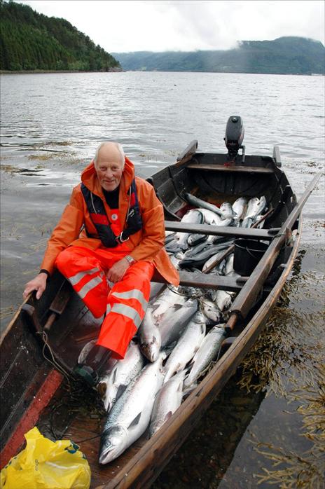 Driva-fangsten 3,6 tonn hittil, Ola tar 5 tonn alene!