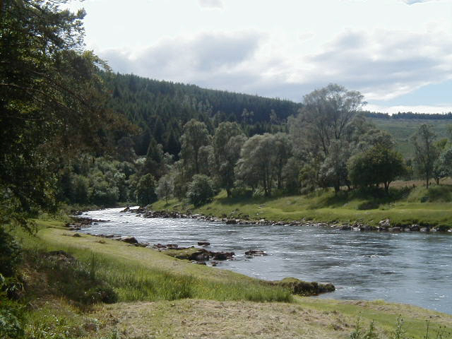 Hos høvdingen i hodejegernes regnskog 