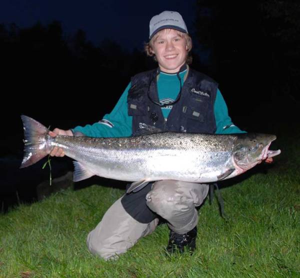 900 villaks og 100 rømlinger på gyteplassene i Etneelva