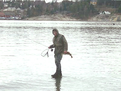 Oslofjordens svaberg fylles av fiskere!