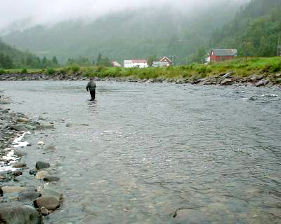 Alle venter på regn i Stjørdalselva!