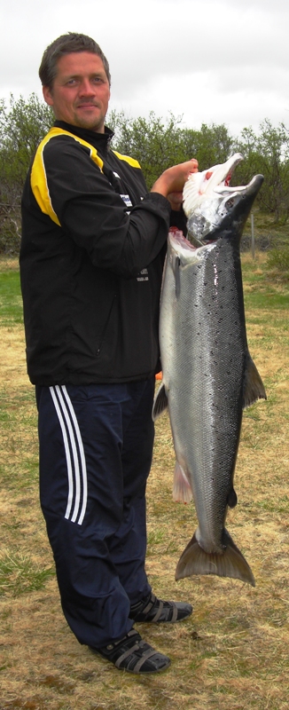 Nå vil Tana merke resultatet av svak gytebestand