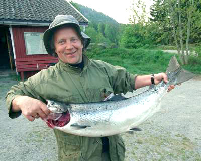 Svensk konkurs redder laksen i Enningdalselva!