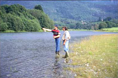 Nøtene stengt. Kjempemye laks i elvene!