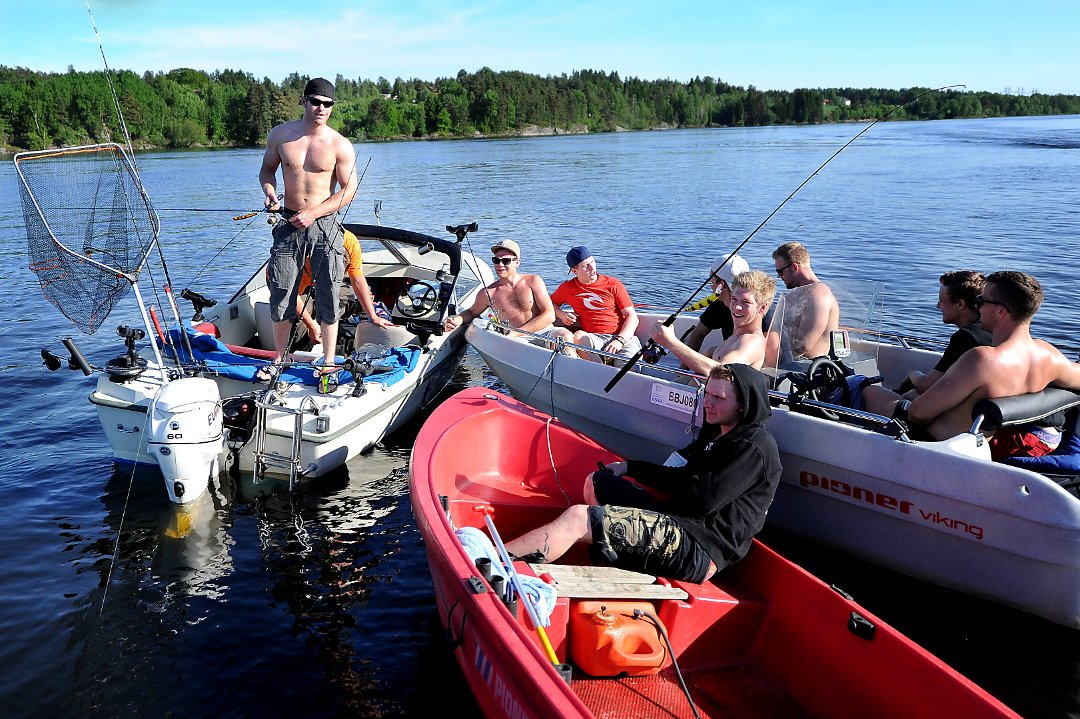 Gjeddefestival med fang og slipp i Nedre Glomma