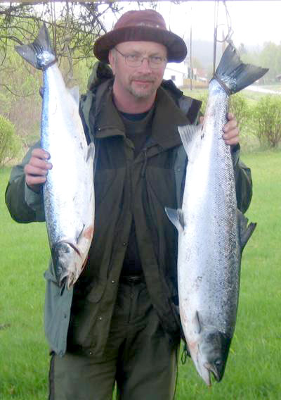 Bjøra-laksen tok marken!