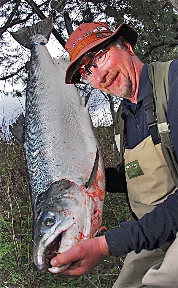 Dramatisk lakse-svikt ventes i norske lakseelver!