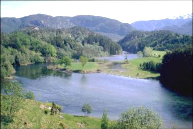 Spennende laksefluefiskekurs i Suldalslågen!