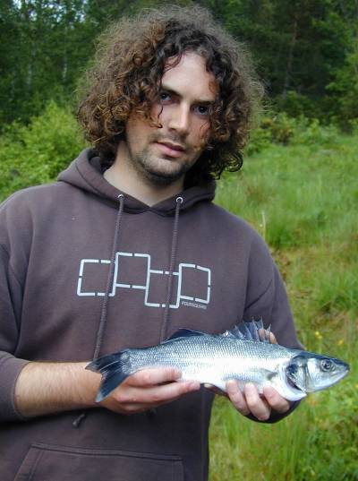 Sjøørretfisker fikk havabbor i elveosen!