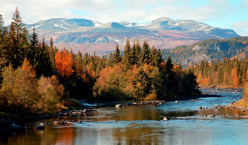 Fluefiske blant  52 gode grunner for å velge Valdres! 