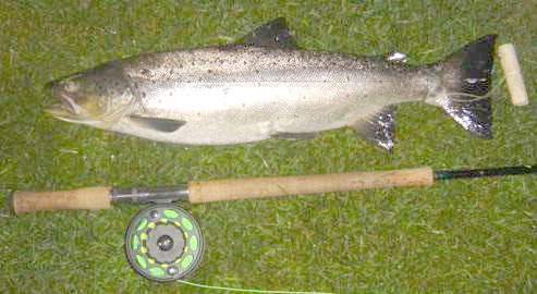 Nå starter kampen for en miljørevisjon av kraftverkene!