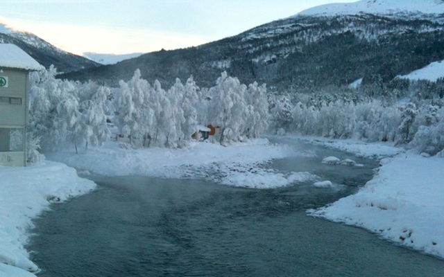 Kraftverk må skjerpe seg for å unngå fiskedød i kulda