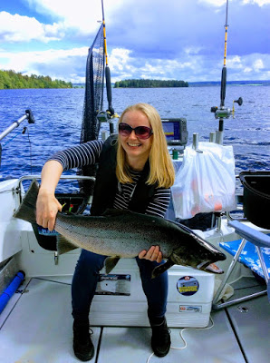 Nå biter storauren i Mjøsa!