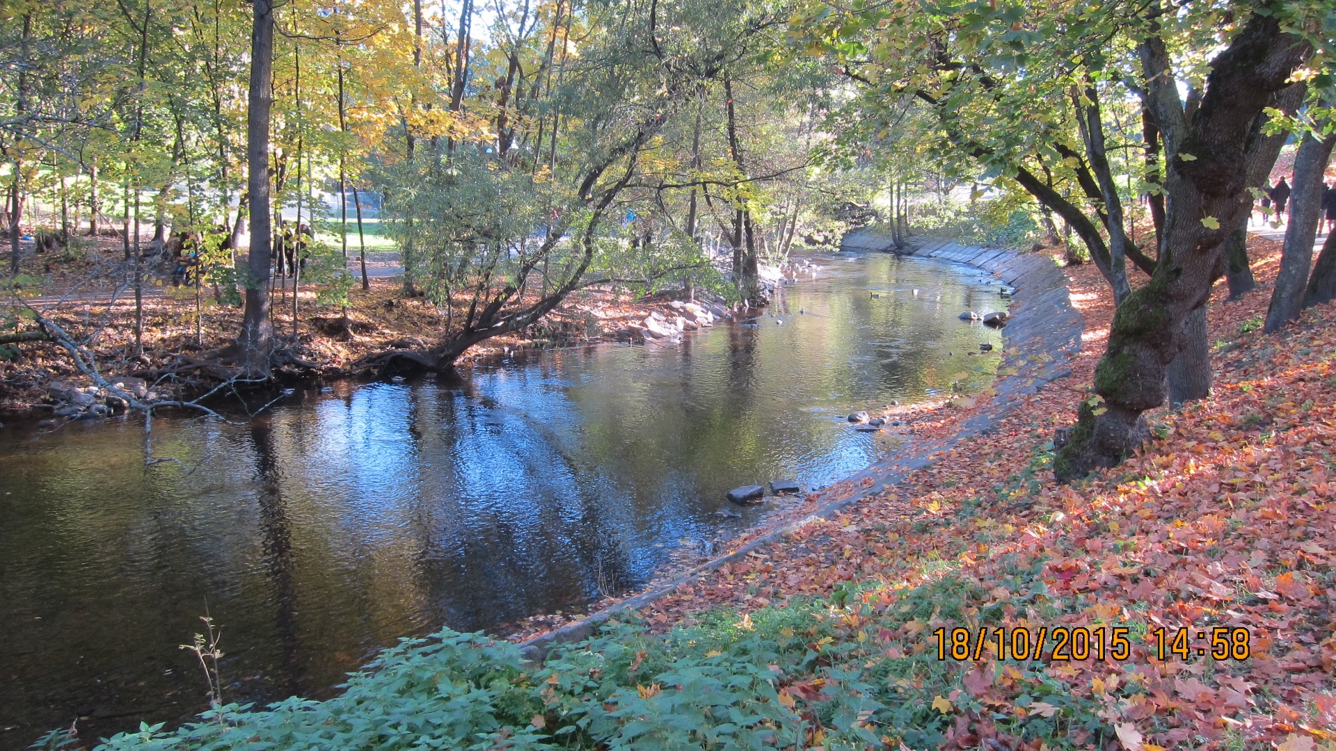 Krevende forvaltning av den 