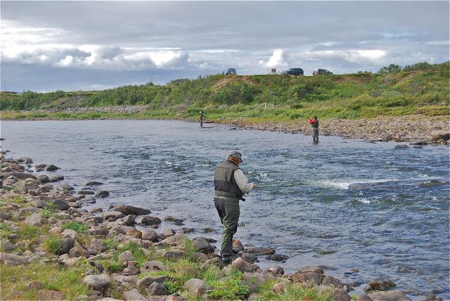 Laksefiske med fang og slipp i 45 av 90 fiskedøgn
