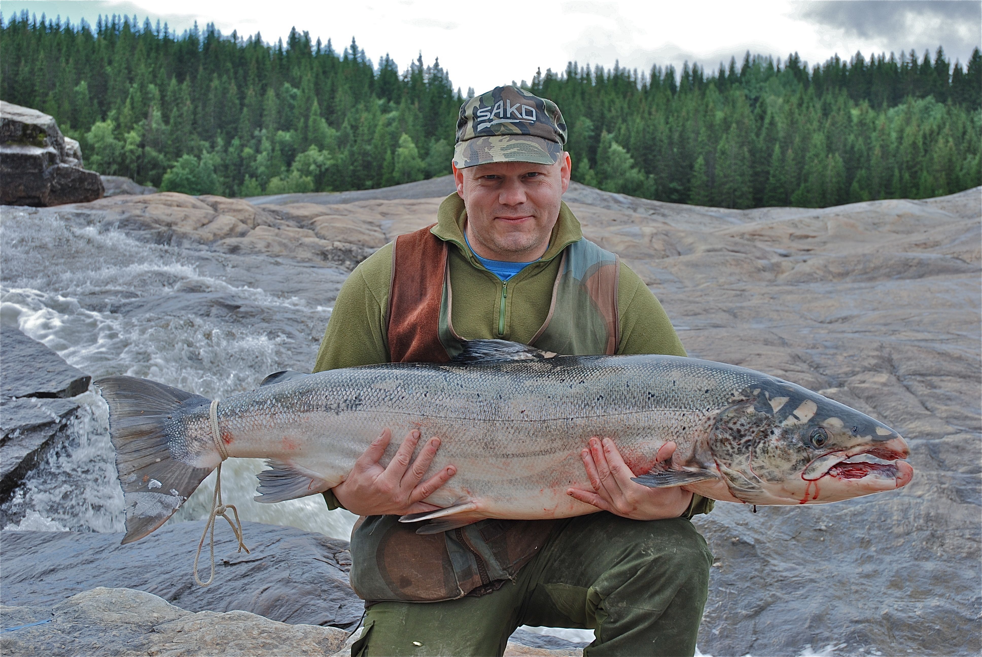 Laksekongen av Sanddøla!