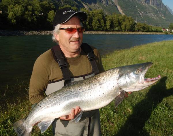 Kludden, norges sterkeste laksefisk!