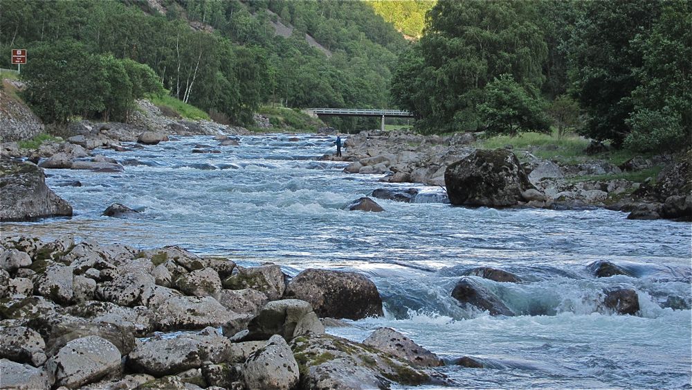 Over halvparten av fangsten var laks på over 7 kilo