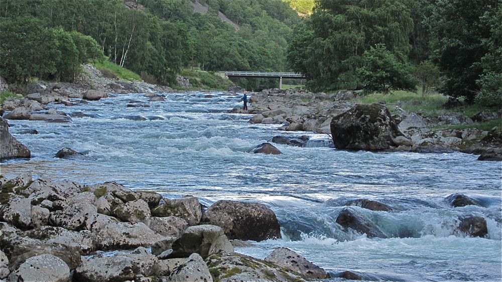 Gyrofrie Lærdalselva på topp i Sogn og Fjordane