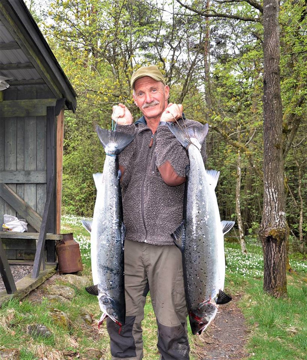 Fiskeglede med reker og mark i Numedalslågen