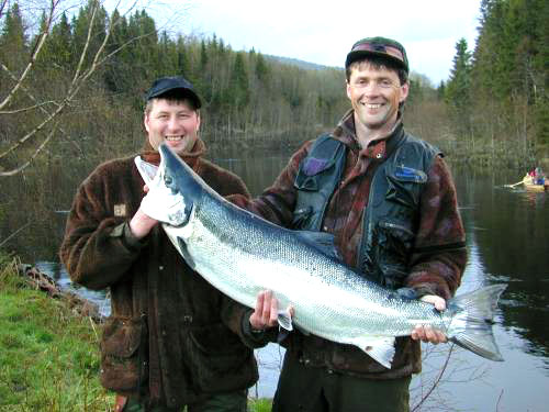 Bjøra-laks på 17 kilo!