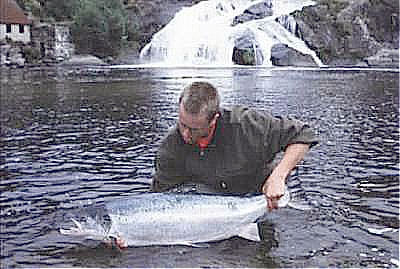 Kjempelaks på moderne meitefiske!