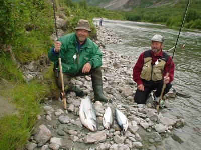 Fiskeguidens toppliste over de 90 beste lakselvene 2007
