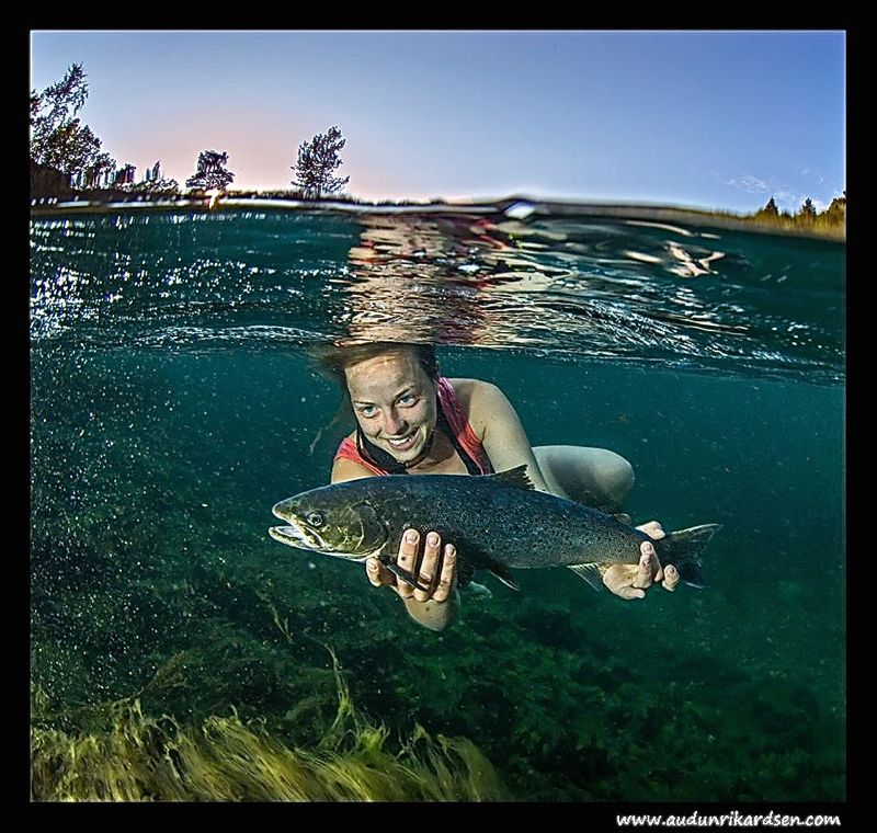 Kristine går under vann for å studere sjøørreten!