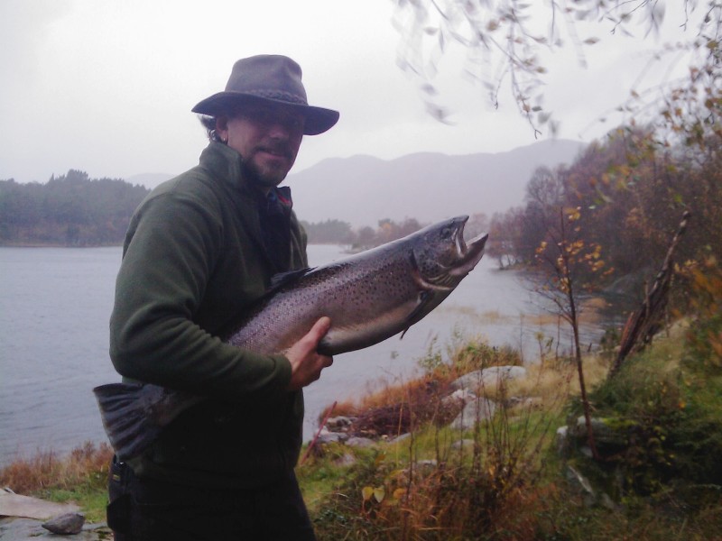 Der halvkilos-ørret er vanlig fangst!