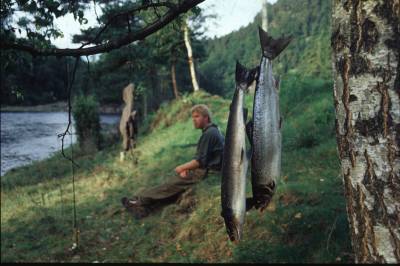 Tusenvis av svoveldøde vann fikk nytt liv!