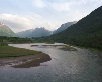 Lakseelver stenges på grunn av slurv med rapportering