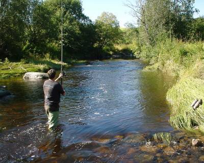 -Det verste jeg har sett av forurenset lakseelv!