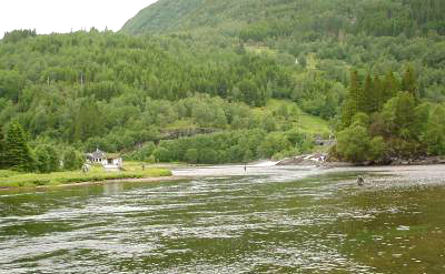 Elendig laksefiske i Sogn og Fjordane!